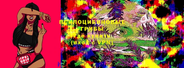 герыч Лабытнанги